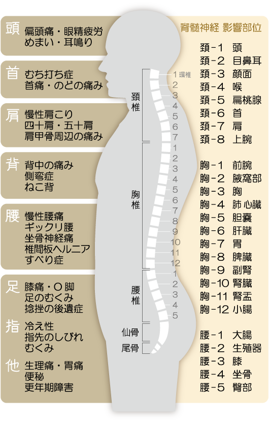 カイロプラクティック 茨城県神栖市 かみす整体院